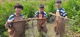 물의 순환, 생명의 순환 사진