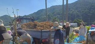 예산교육지원청, 수해지역 피해복구 봉사활동 실시 사진